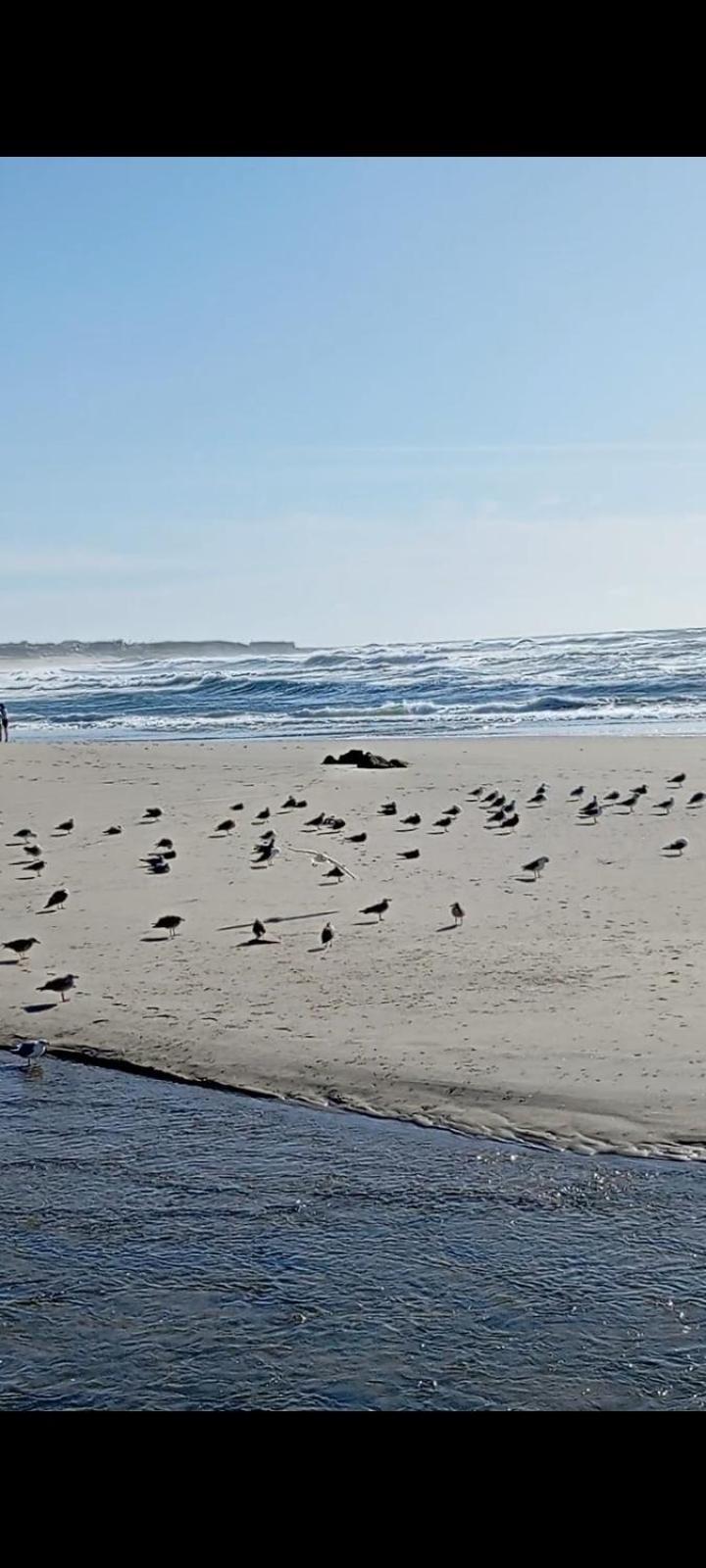 Atico Maravilloso En Cangas , Vigo 외부 사진